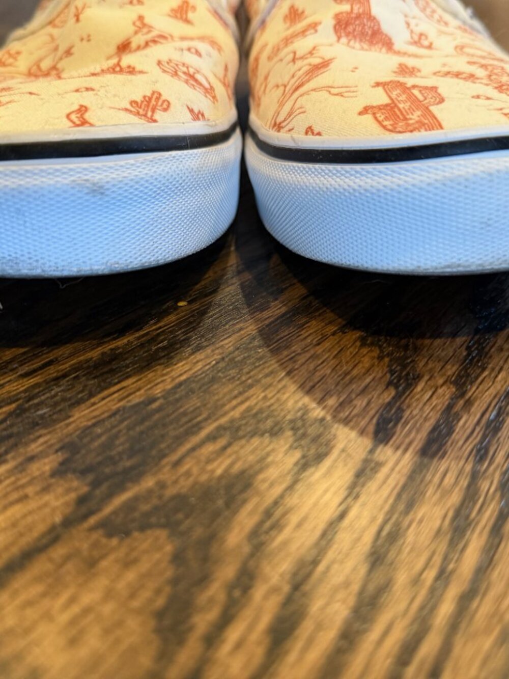 Vans Men’s 12 Classic Slip-On Desert Print Cactus Oatmeal Cream Color 751505 - Picture 5 of 9